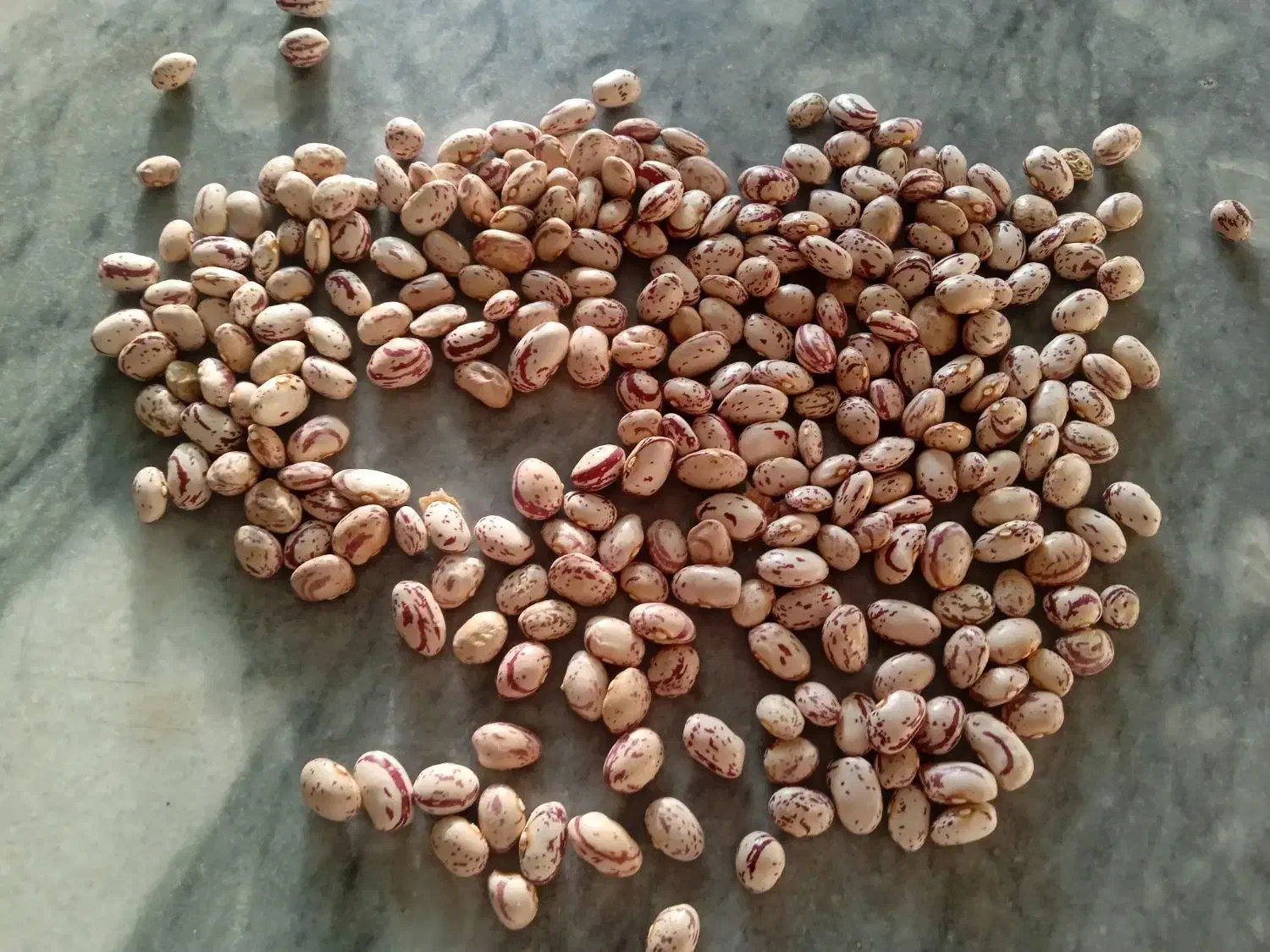 لوبیاچیتی|خوردنی و آشامیدنی|دهگلان, |دیوار