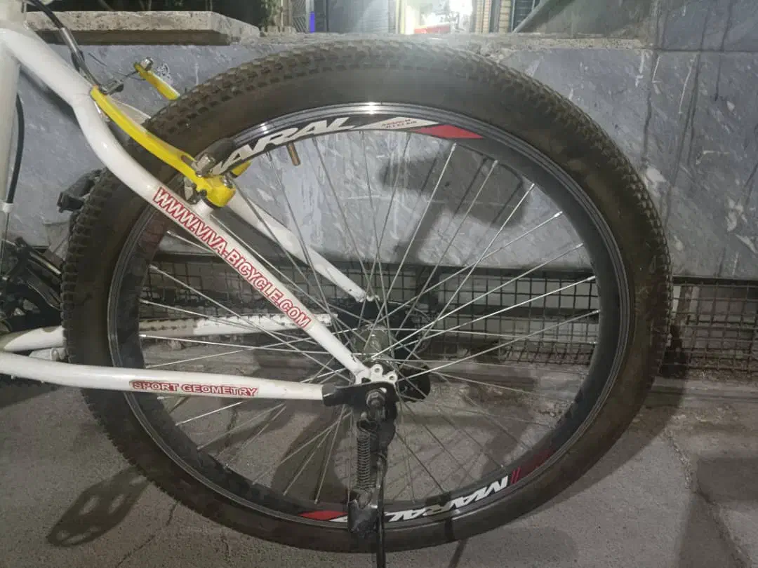 دوچرخه ویوا اصل|دوچرخه، اسکیت، اسکوتر|فردیس, فردیس|دیوار