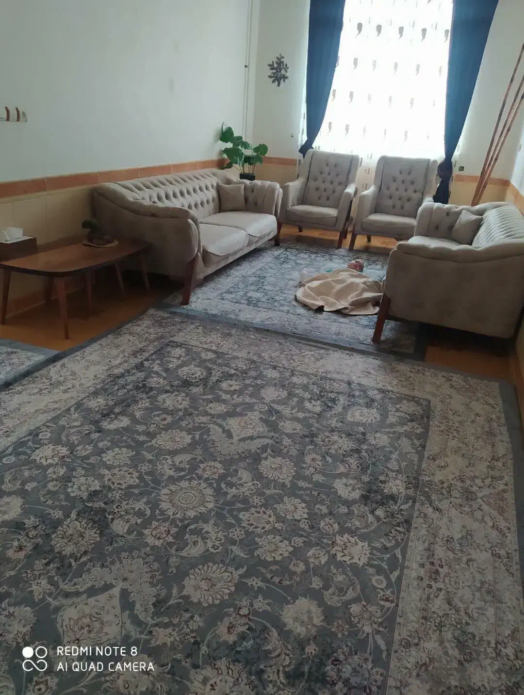 روفرشی مخمل|روفرشی|گرگان, |دیوار