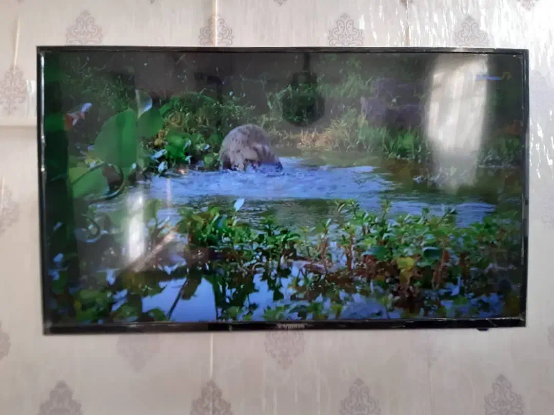 تلویزیون ۴۸اینچ نونو ایکس ویژن|تلویزیون و پروژکتور|مشهد, شهید معقول|دیوار