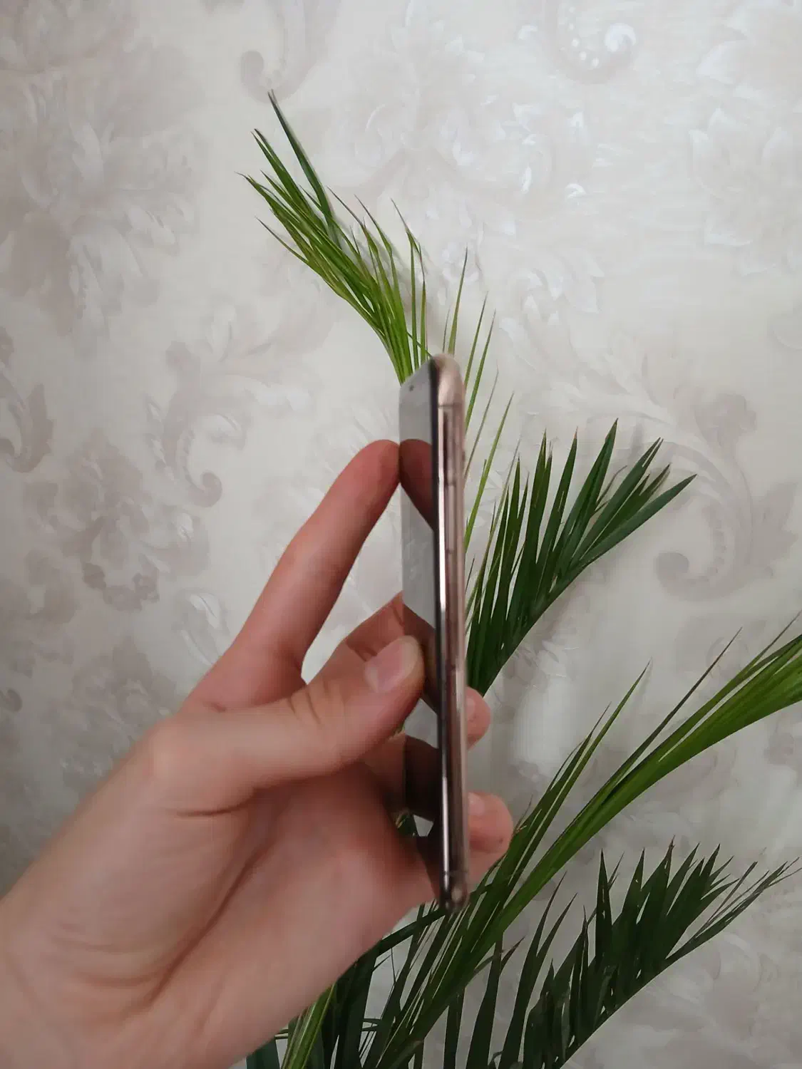 آیفون xs طلایی|موبایل|آشخانه, |دیوار