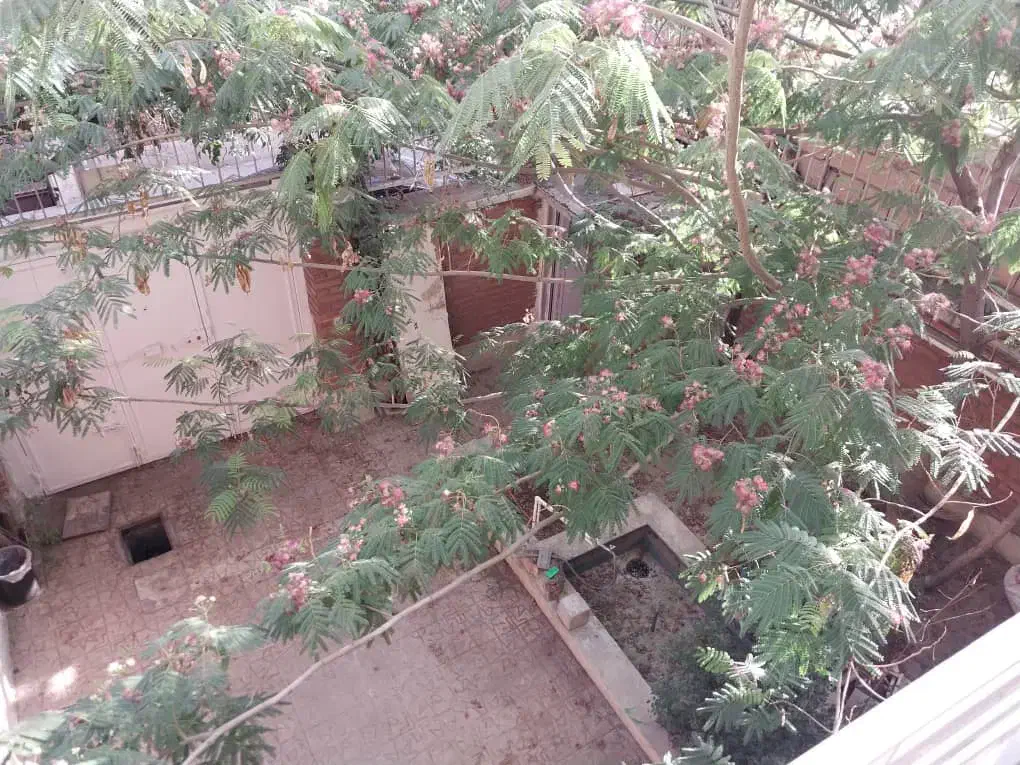 اجاره خانه ویلایی مستغلات ۳۵۰ متر ستارخان