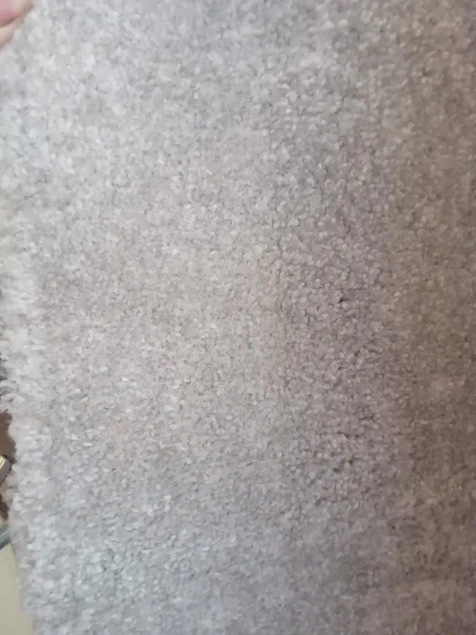 پالاژموکت|موکت|قم, باجک دو|دیوار