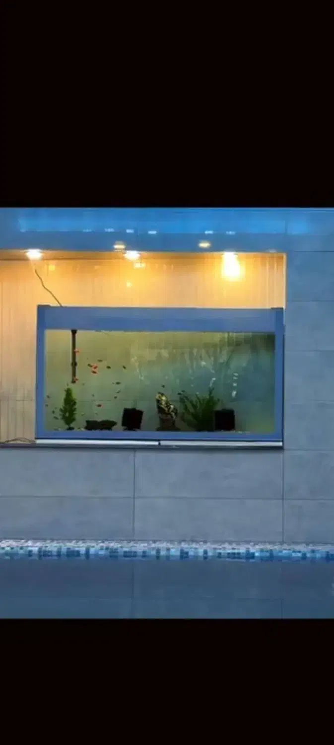 آکواریوم|ماهی|تربت‌حیدریه, بالا ولایت|دیوار