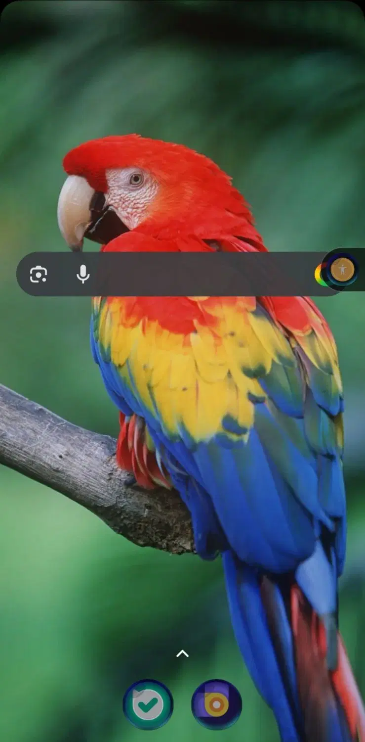 گوشی poco x4 Pro 5g|موبایل|دهگلان, |دیوار