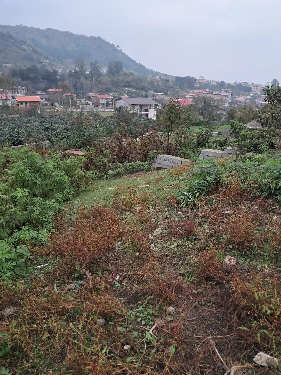 زمین ویلایی با موقعیت عالی در کانرود|فروش زمین و ملک کلنگی|لوندویل, |دیوار