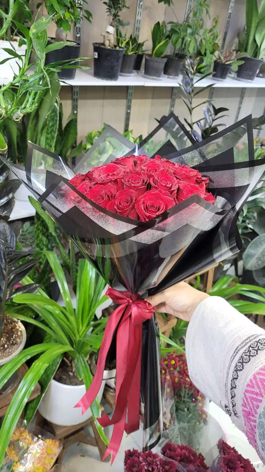 دسته گل ۲۰ شاخه ای رز فقط ۷۹۰|گل و گیاه طبیعی|شیراز, خلدبرین|دیوار