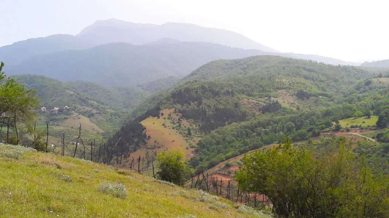 فروش زمین 37000 متری         (سند تک برگ)|فروش زمین و ملک کلنگی|توتکابن, |دیوار