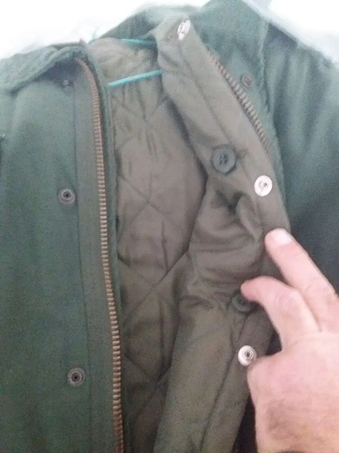 اورکت استرداراصل|لباس|نقده, |دیوار