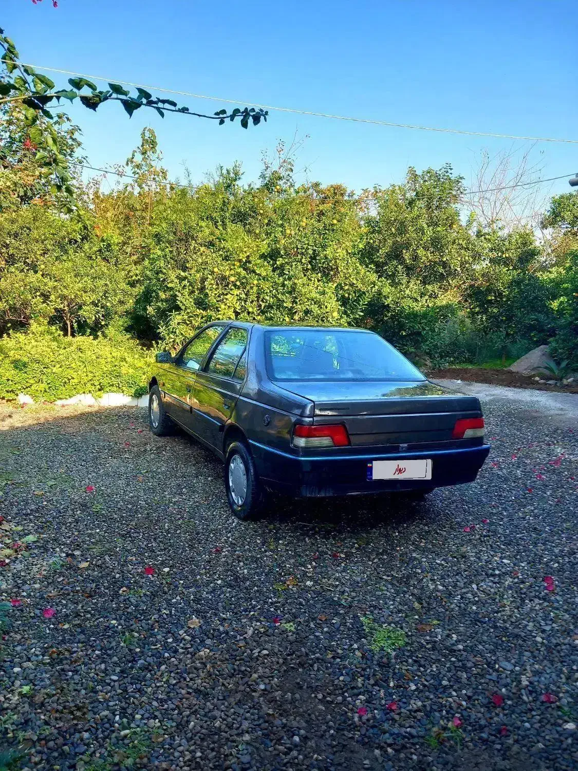 پژوروا مدل ۱۳۸۷ دوگانه شرکتی تست گاز داردوکم کار|خودرو سواری و وانت|کلاچای, |دیوار