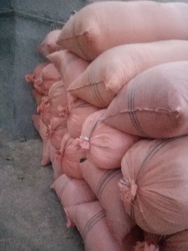 فروش کاه|عمده‌فروشی|تایباد, |دیوار