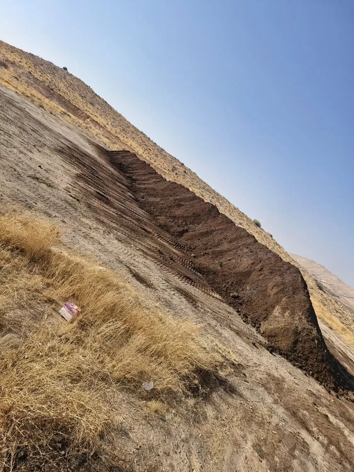 فروش انواع کود مرغی ، گاوی ، گوسفندی|خدمات باغبانی و درختکاری|صدرا-فارس, فاز ۱|دیوار