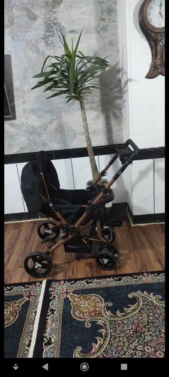 کالاسکه|کالسکه و لوازم جانبی|خرم‌آباد, |دیوار