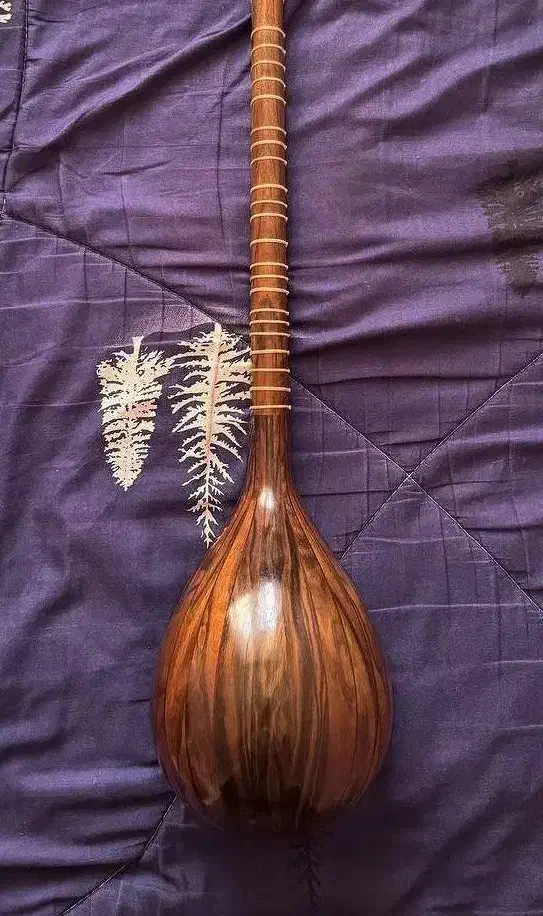 سه تار سلمان|سازهای سنتی|تهران, اکباتان|دیوار