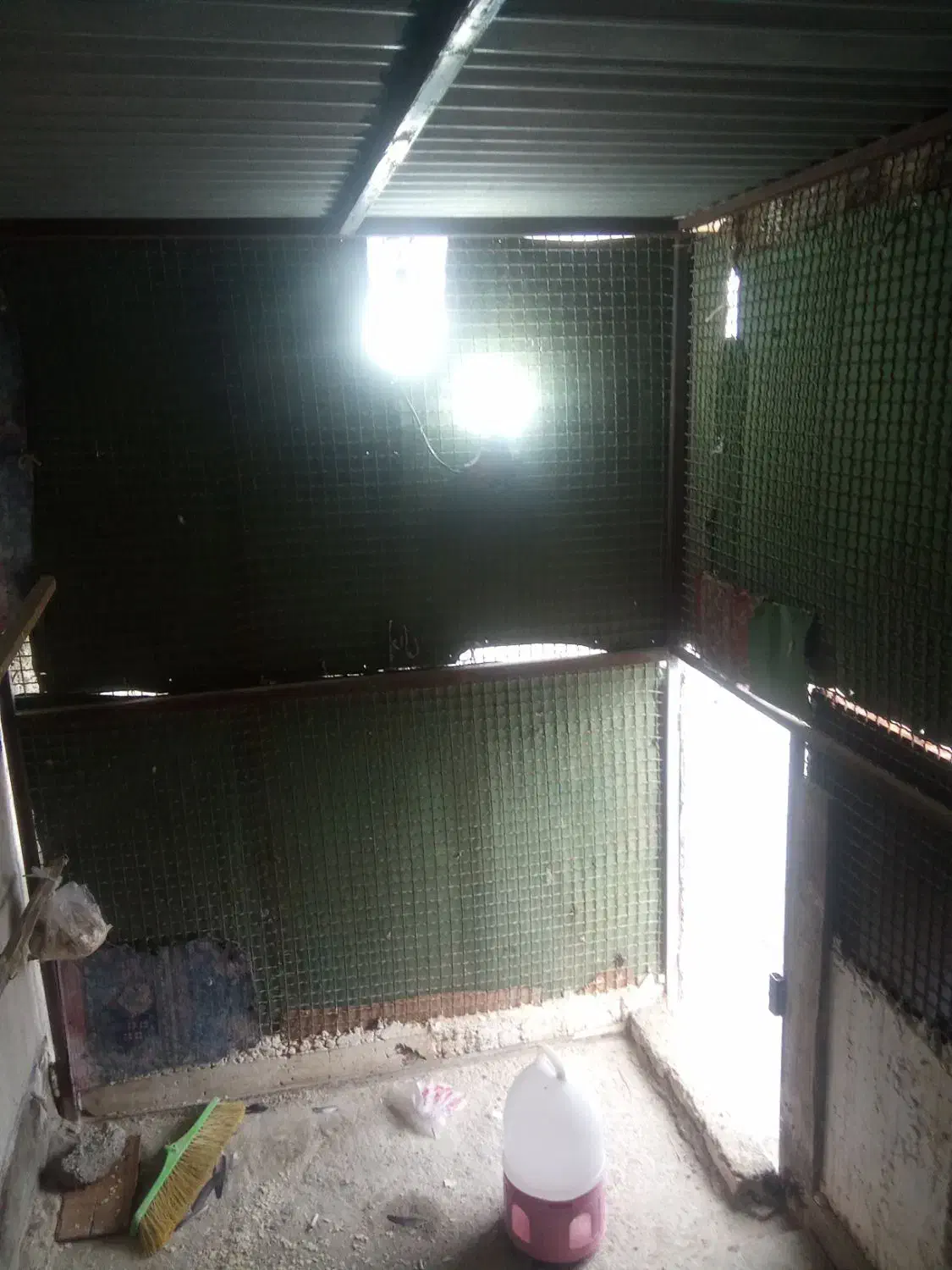 قفس|لوازم جانبی حیوانات|بندر گناوه, |دیوار