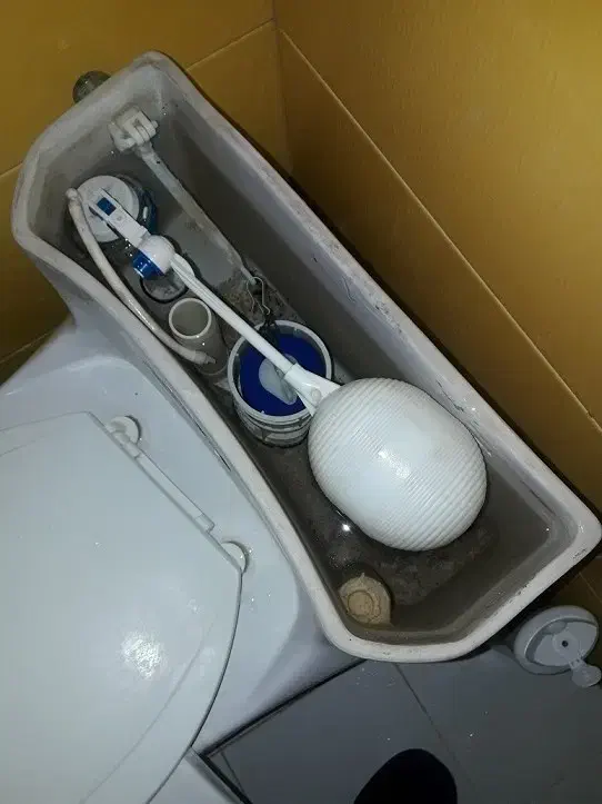 فروش توالت فرنگی برند گلسار|لوازم سرویس بهداشتی|قائمشهر, |دیوار