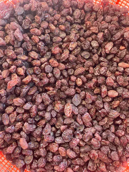 مویز بدون هسته مخصوص خوردن|خوردنی و آشامیدنی|شیراز, شهرک مدرس|دیوار