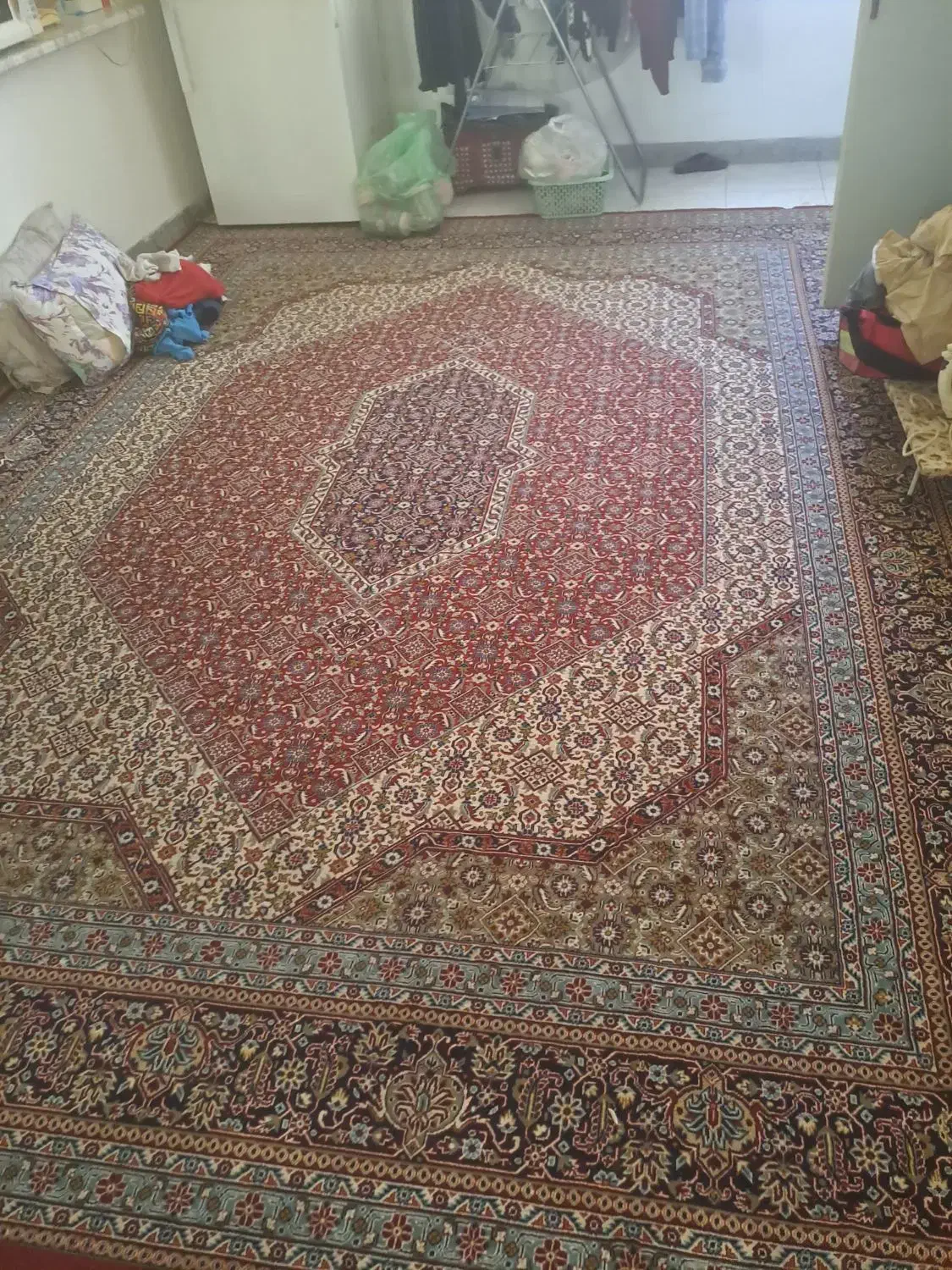 فرش ۱۲متری،گاز ۵شعله|فرش|واجارگاه, |دیوار