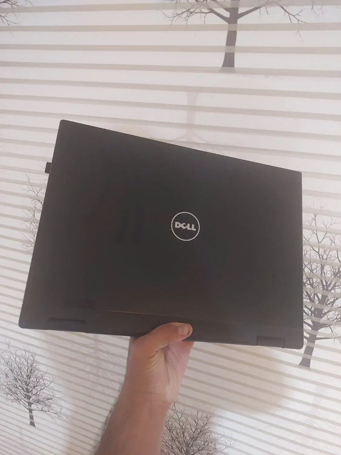 لپ تاپ Dell|رایانه همراه|هشتگرد, هشتگرد قدیم|دیوار