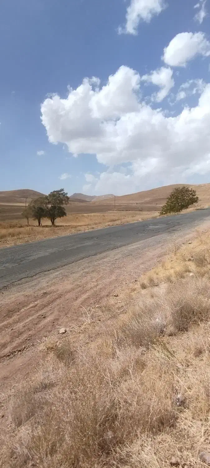 زمین کشاورزی مزرعه|فروش دفتر صنعتی، کشاورزی، تجاری|خرقان, |دیوار