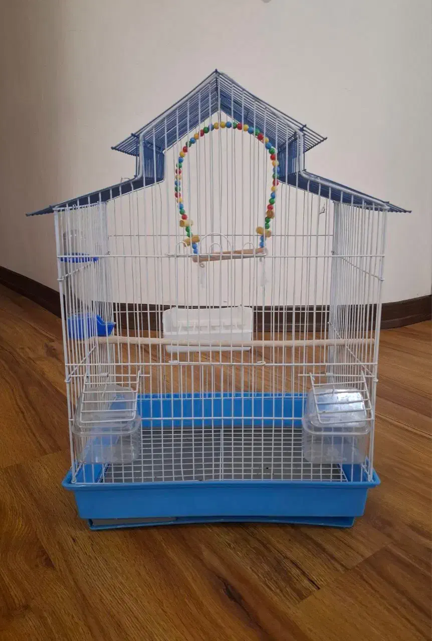 قفس پرنده|لوازم جانبی حیوانات|تنکابن, |دیوار