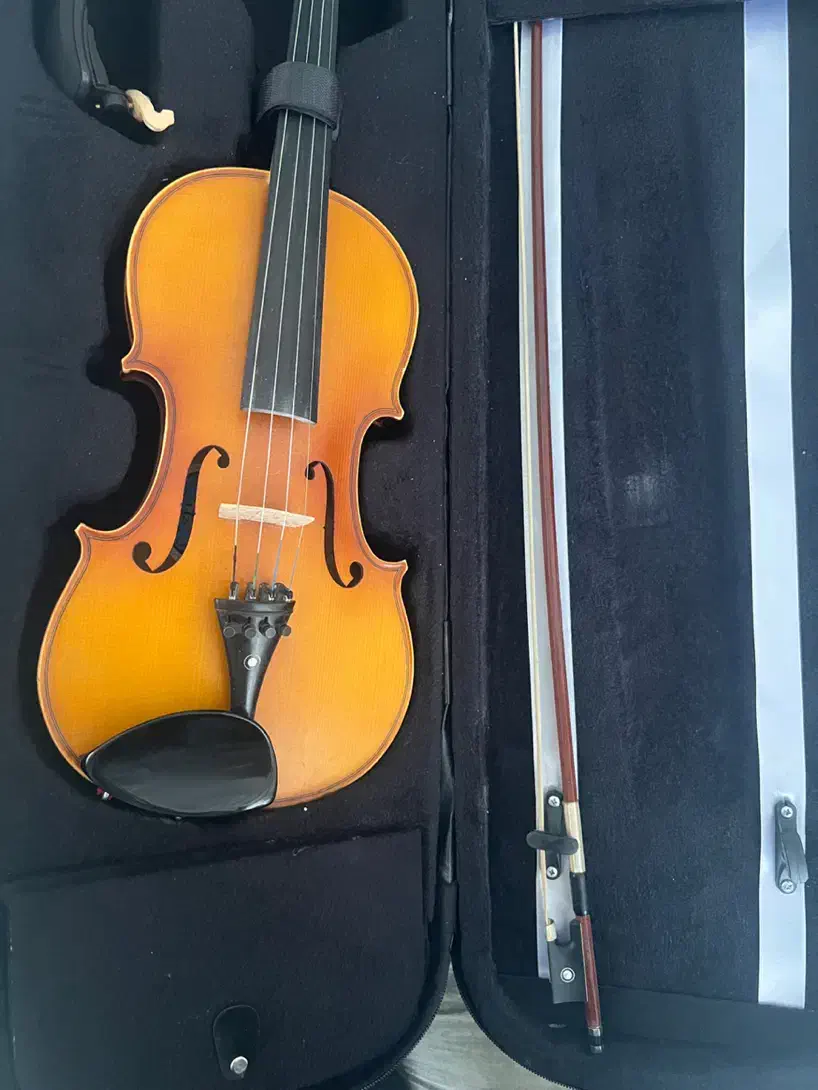 ویالون tf142|ویولن|تاکستان, |دیوار