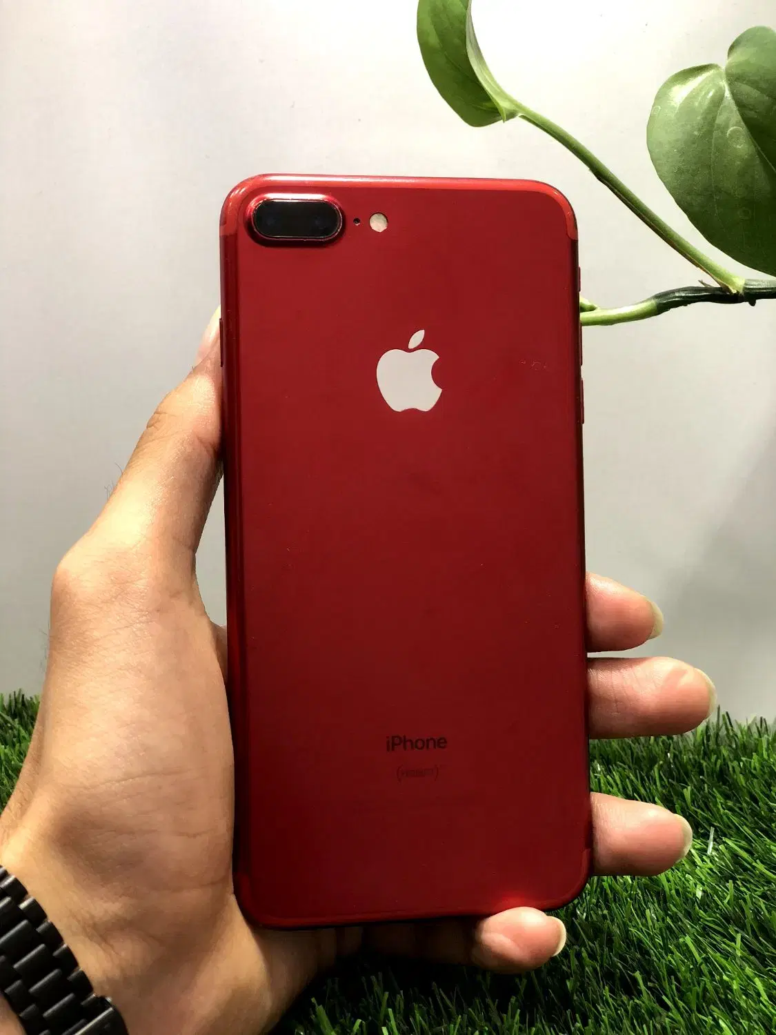 Iphone 7 plus|موبایل|سبزوار, امیر کبیر|دیوار