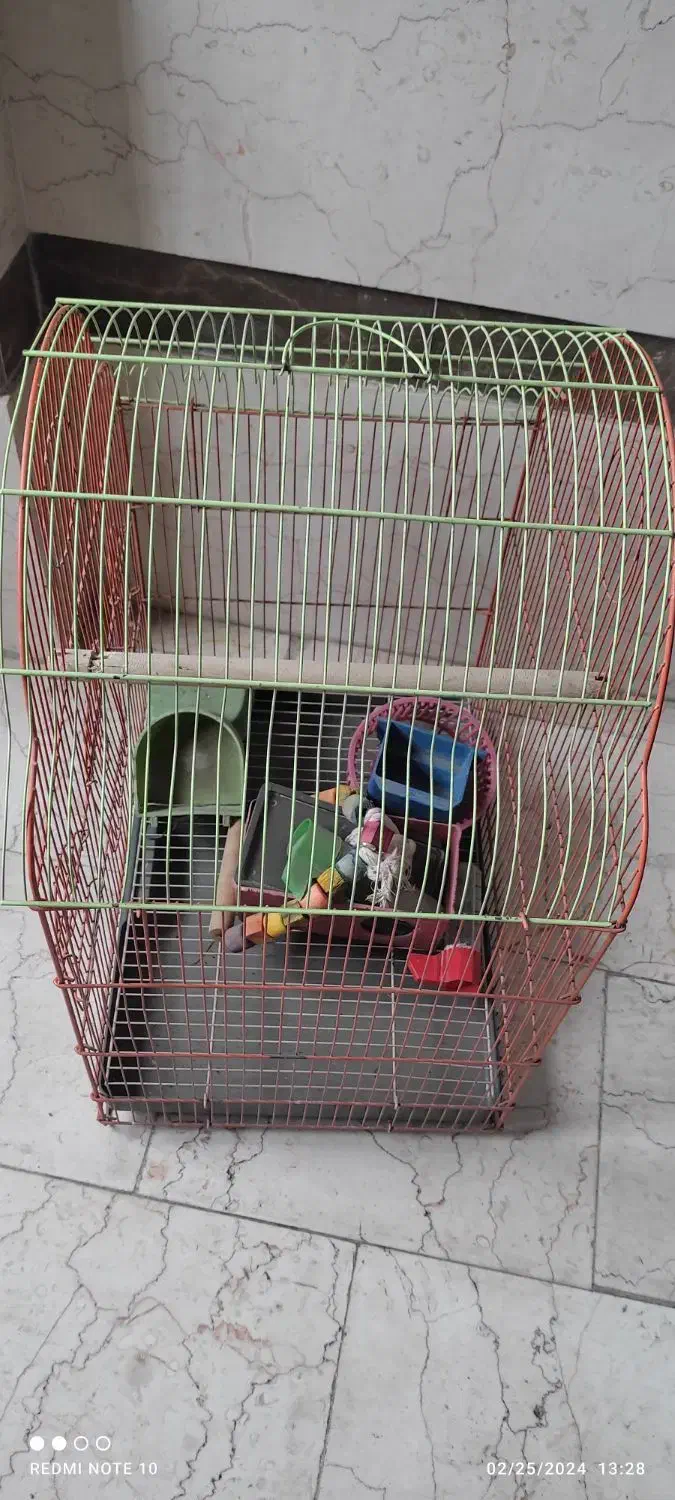 قفس پرنده|لوازم جانبی حیوانات|تهران, جنت‌آباد مرکزی|دیوار