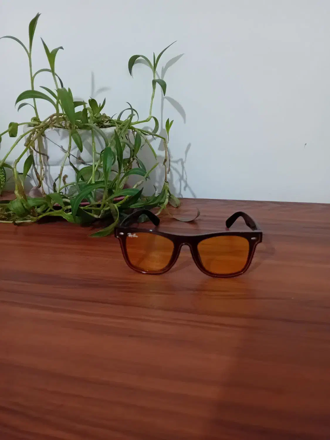 عینک آفتابی نو|حراج|آشخانه, |دیوار