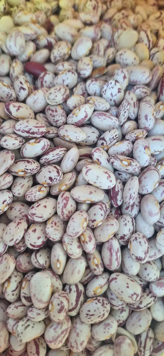 لوبیا چیتی|خوردنی و آشامیدنی|بلداجی, |دیوار