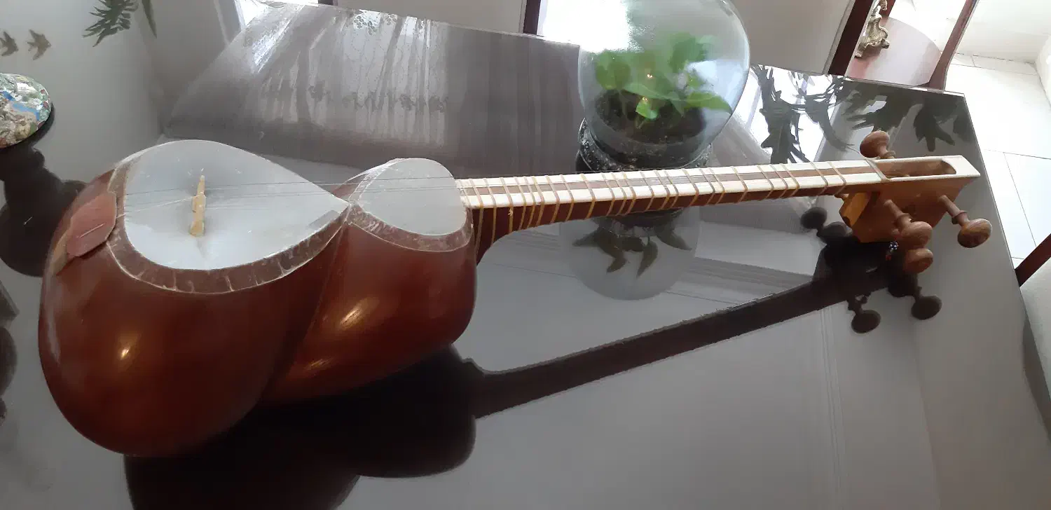 تار|سازهای سنتی|کرج, کوی کارمندان جنوبی|دیوار