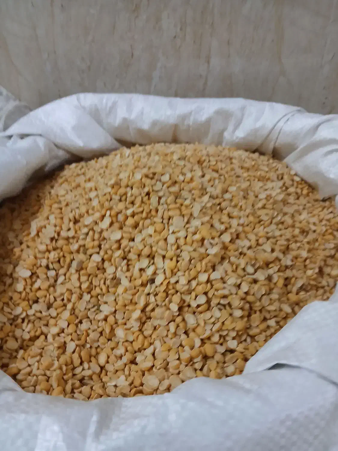 خوشپخت|حراج|بوکان, |دیوار