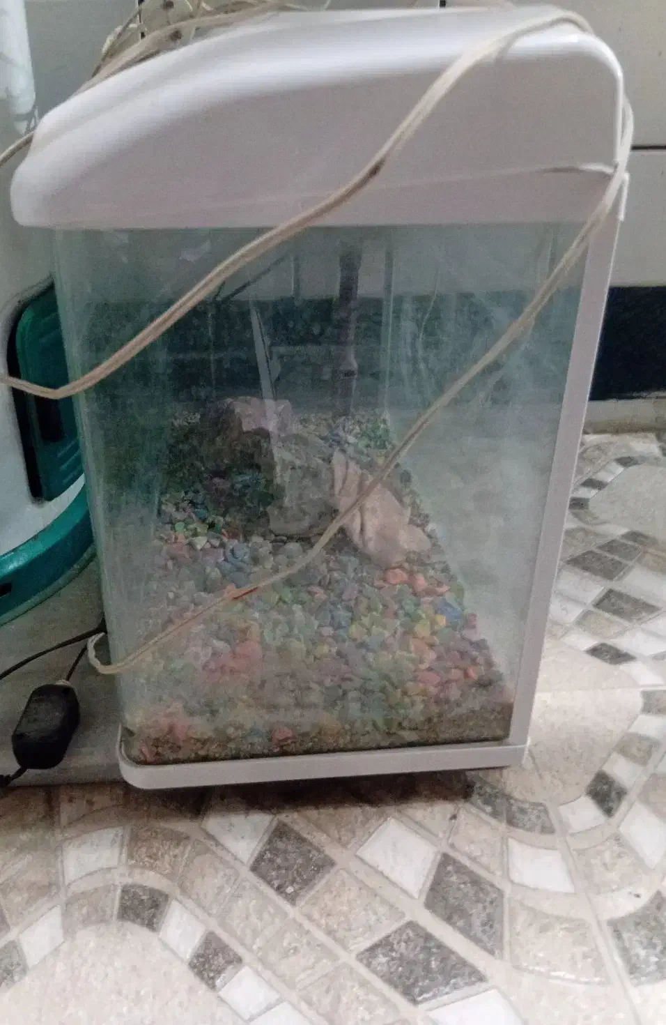 آکواریوم|ماهی|بندر امام خمینی, |دیوار