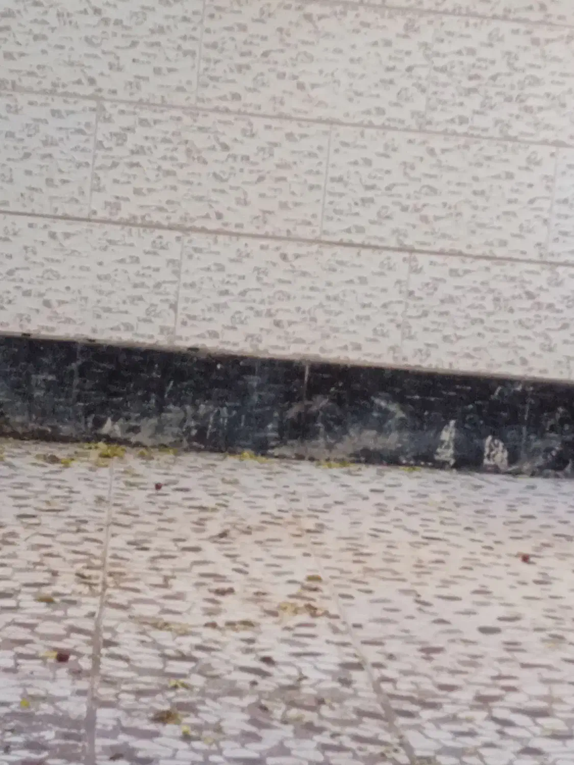 جویای‌کار..نما کارساختمان|خدمات پیشه و مهارت|بیرجند, |دیوار