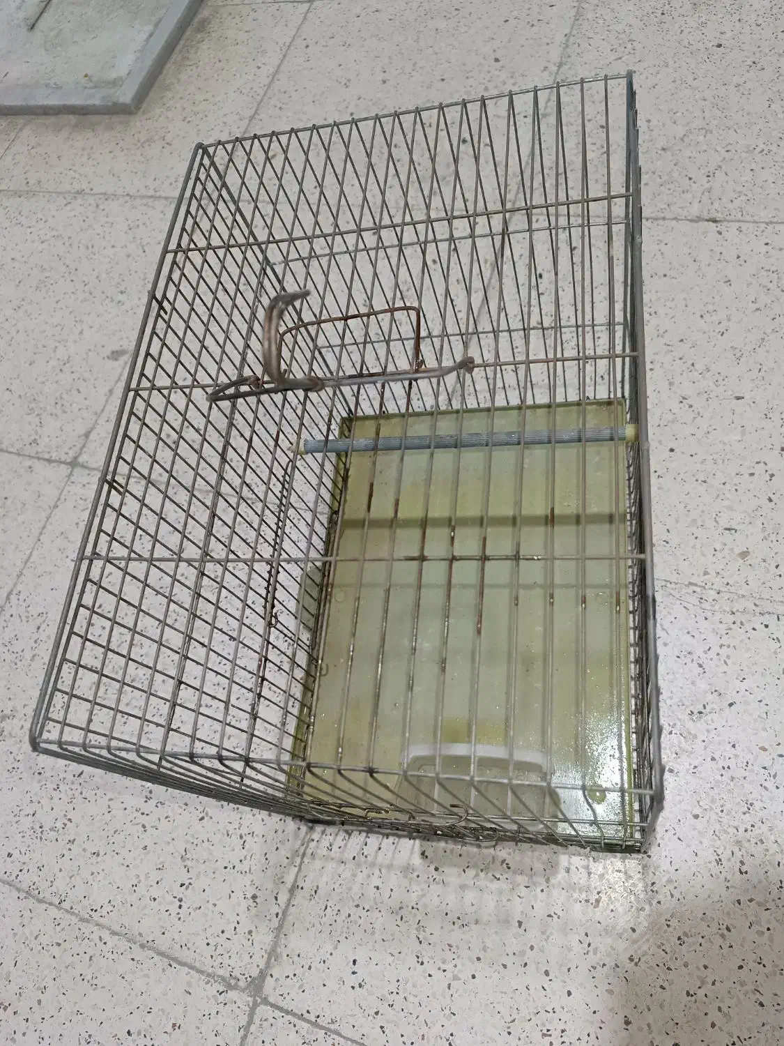 قفس پرنده|لوازم جانبی حیوانات|سنندج, |دیوار