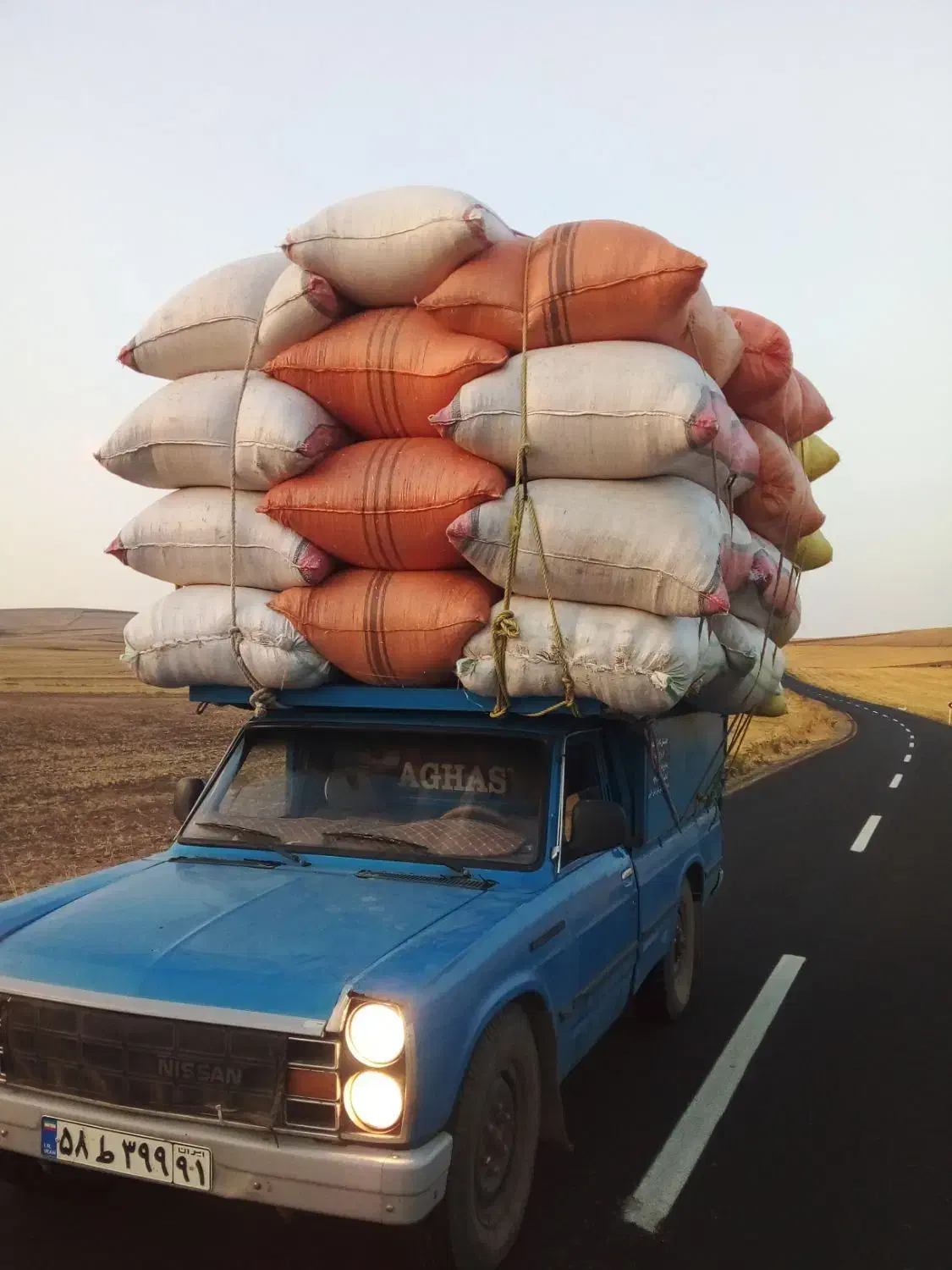 کاه گندم|لوازم جانبی حیوانات|گرمی, |دیوار