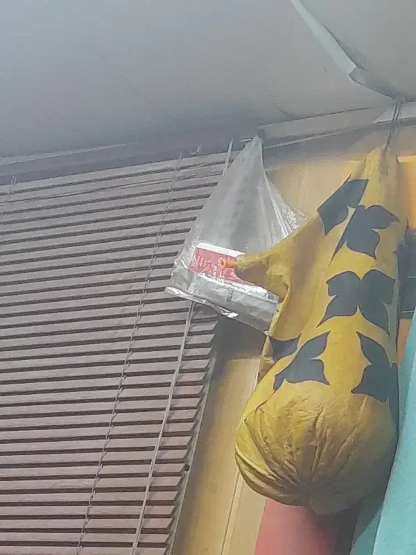 نی همبون سالم|سازهای بادی|بندرعباس, |دیوار