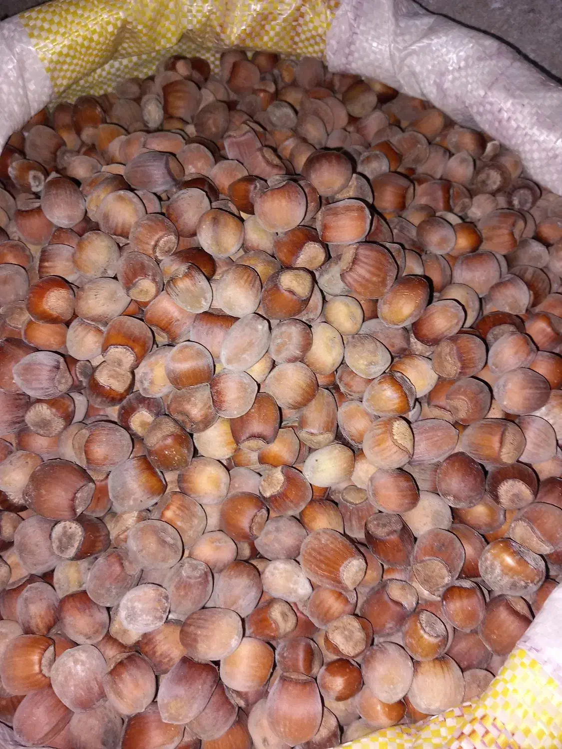 فندق درجه یک جنگلی|خوردنی و آشامیدنی|نمین, |دیوار