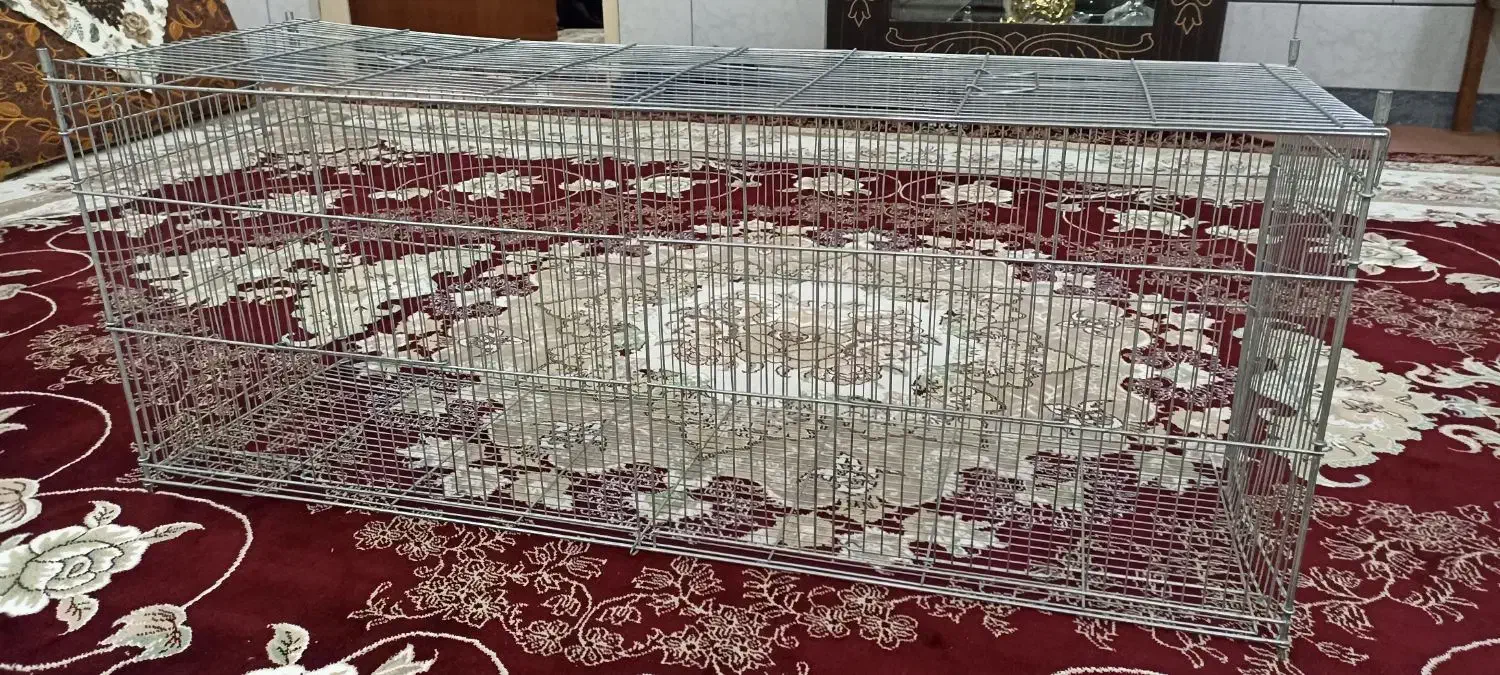 قفس پرنده|لوازم جانبی حیوانات|خنداب, |دیوار