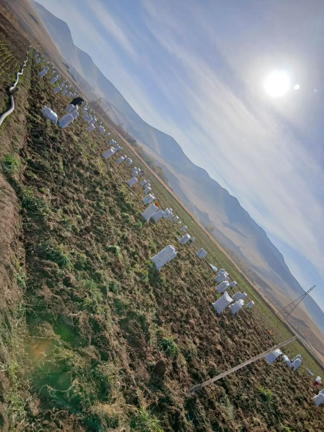 فروش زمین کشاورزی روی اتوبان سقز دیواندره|فروش زمین و ملک کلنگی|زیویه, |دیوار