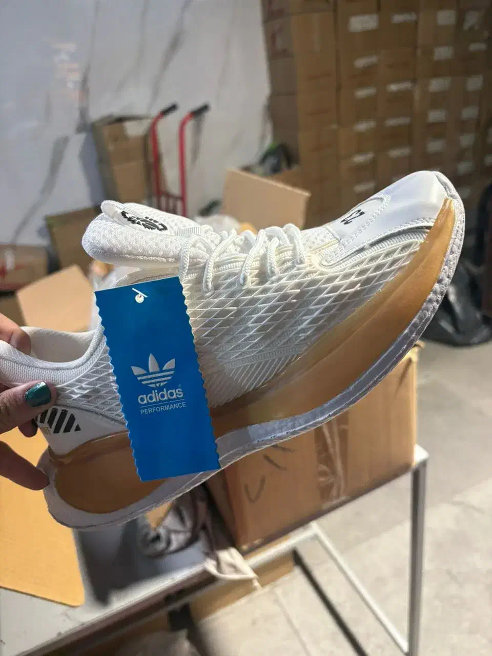 کفش آدیداس ویتنامی|کیف، کفش، کمربند|کرج, عظیمیه|دیوار