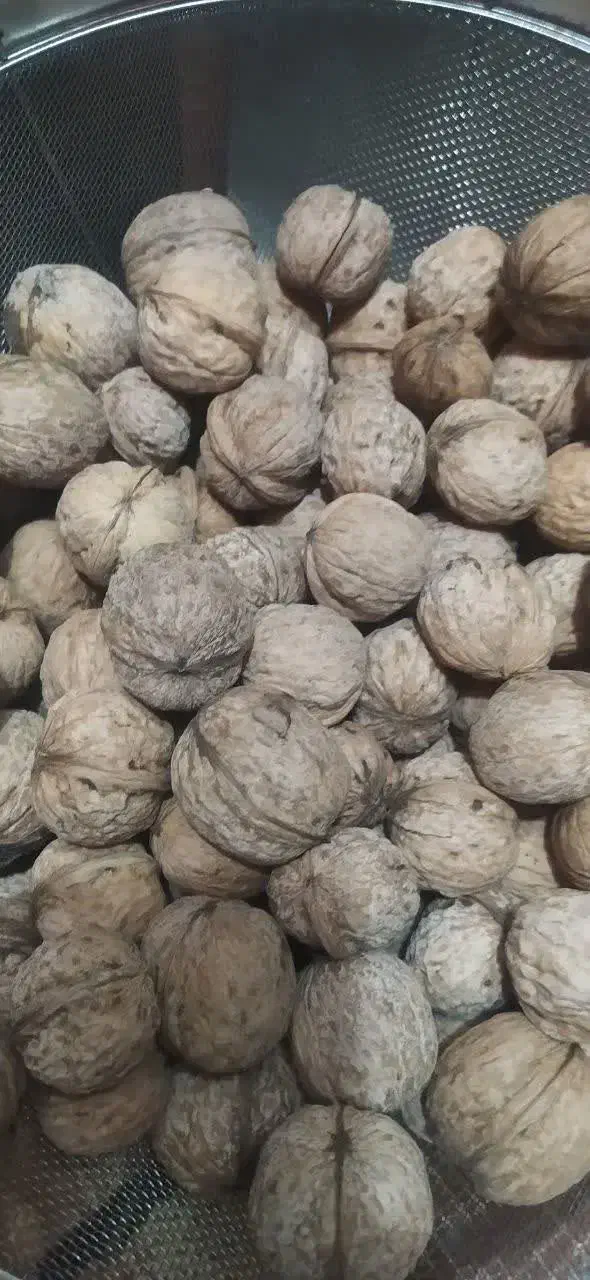 گردو استانه|خوردنی و آشامیدنی|دامغان, |دیوار