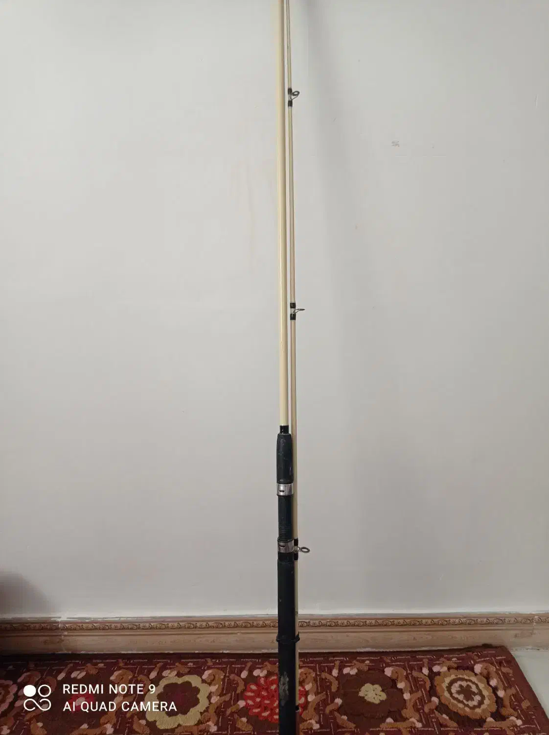 لنسر|ماهیگیری|اردبیل, |دیوار