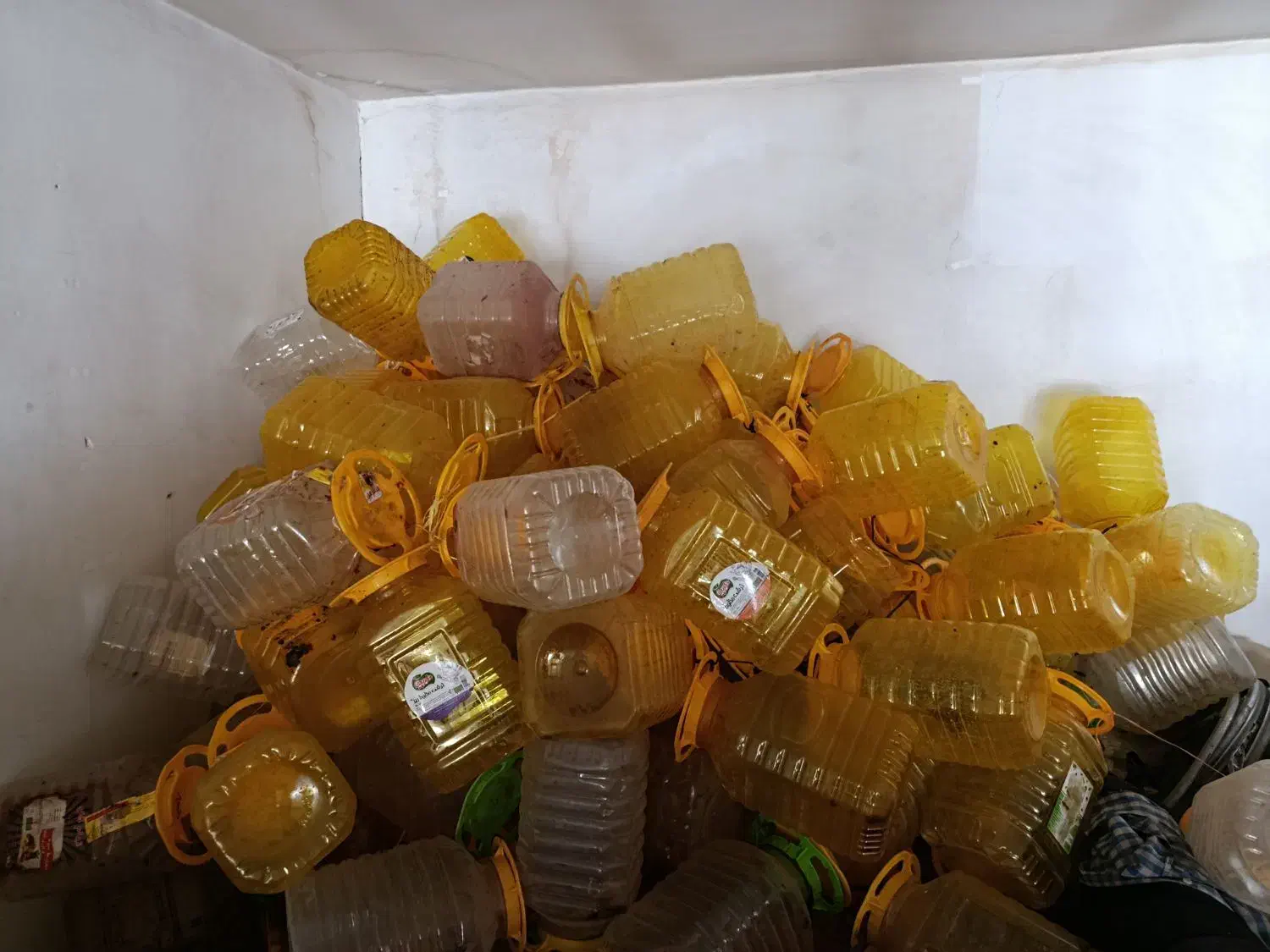 ظرف و پت|ظروف نگهدارنده، پلاستیکی، یک‌بارمصرف|سنندج, |دیوار