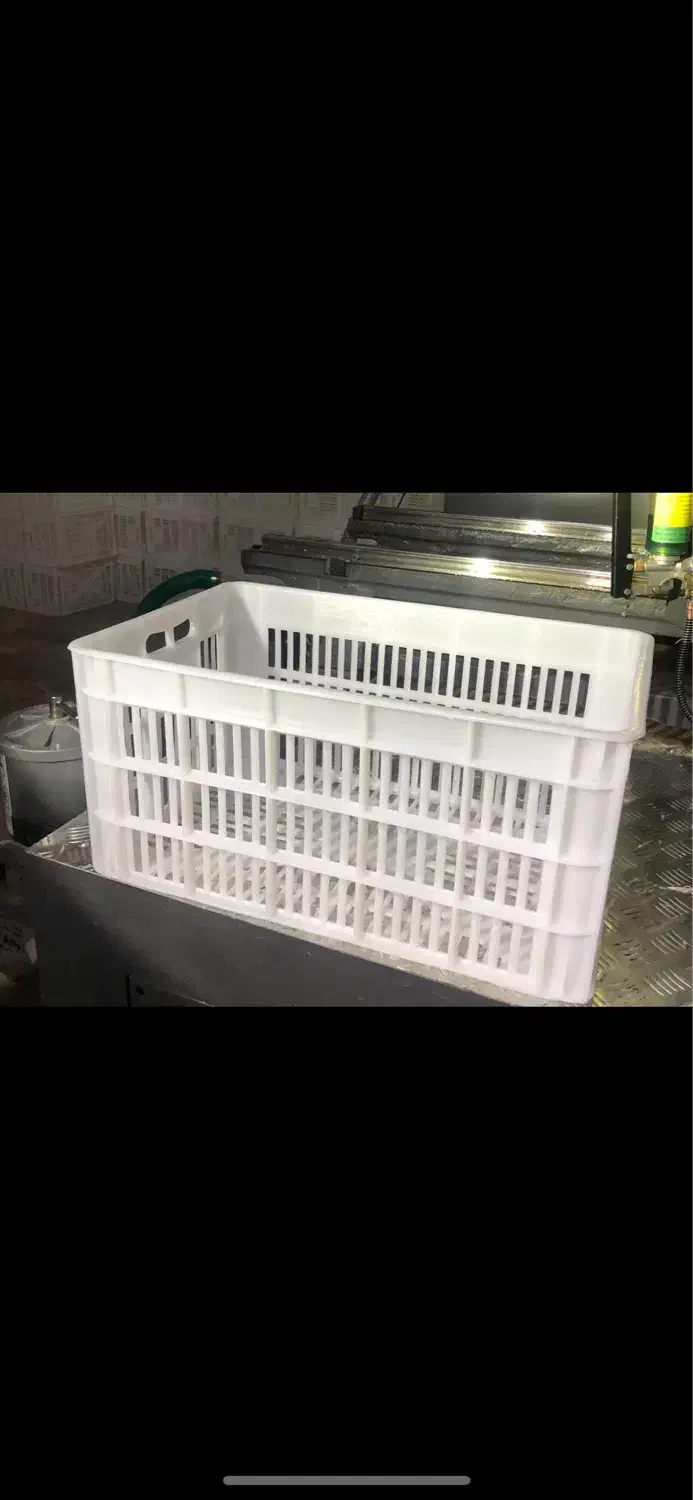 سبد حمال ۲۰و۲۵کیلویی سردخانه ای uv و زیرصفر|عمده‌فروشی|ساوه, |دیوار