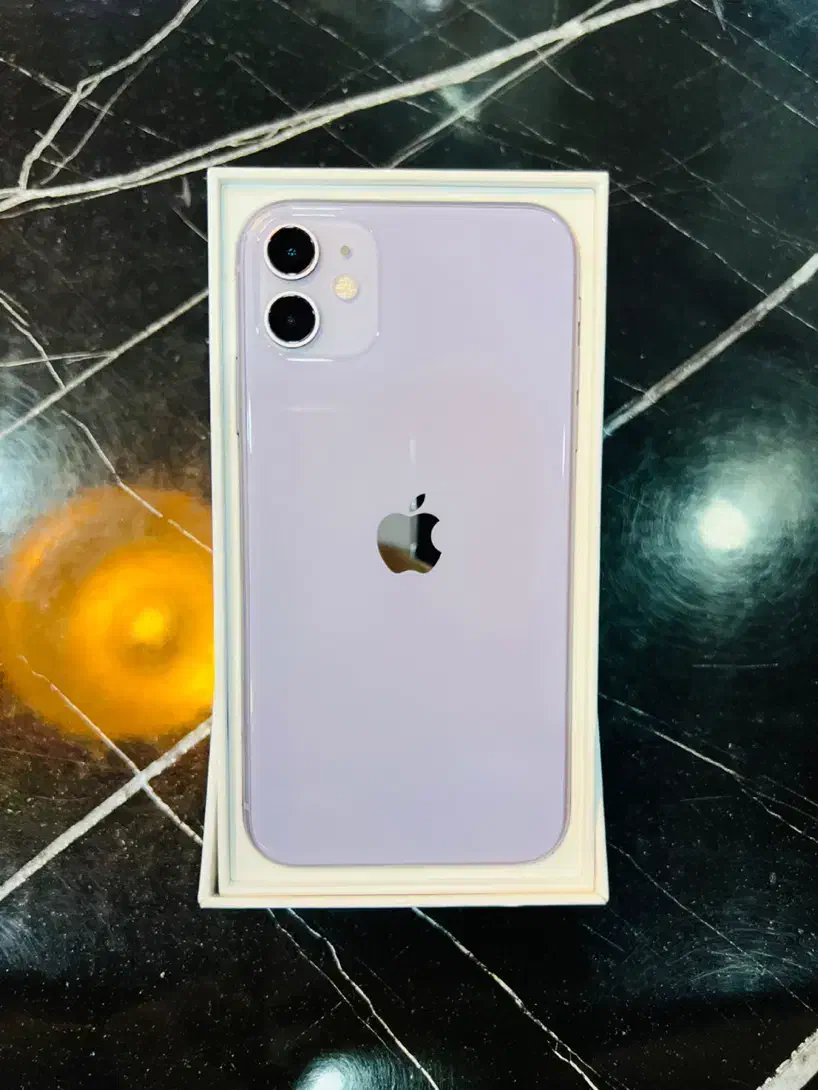 کوشی اپل 11 ایفون 11 نرمال|موبایل|شیراز, ستارخان|دیوار