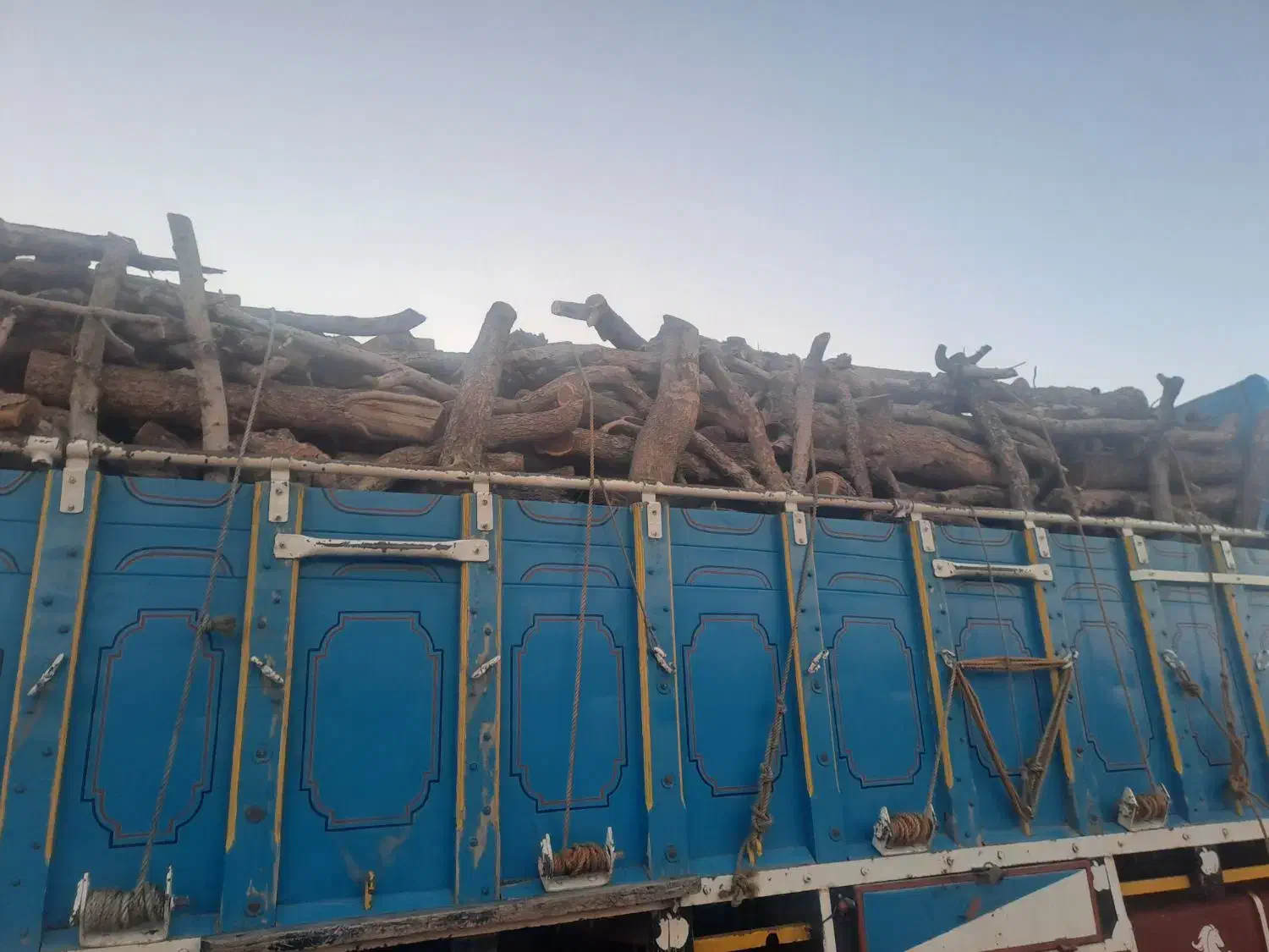 خرید و فروش انواع چوب|خدمات باغبانی و درختکاری|زید آباد, |دیوار