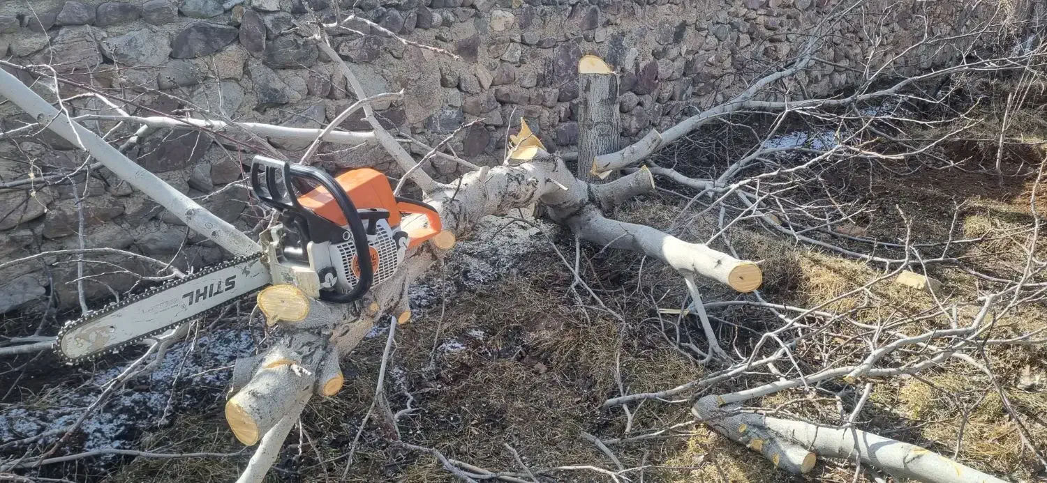 چوب بری سیار سجادی|خدمات باغبانی و درختکاری|کوهسار (البرز), |دیوار