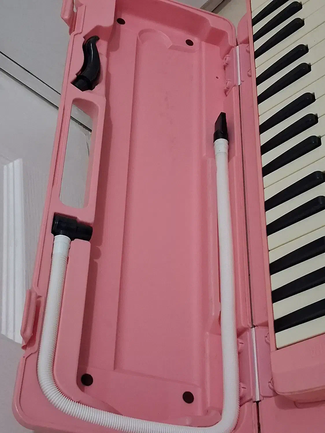 ملودیکا یاماها|سازهای بادی|تهران, ارامنه|دیوار