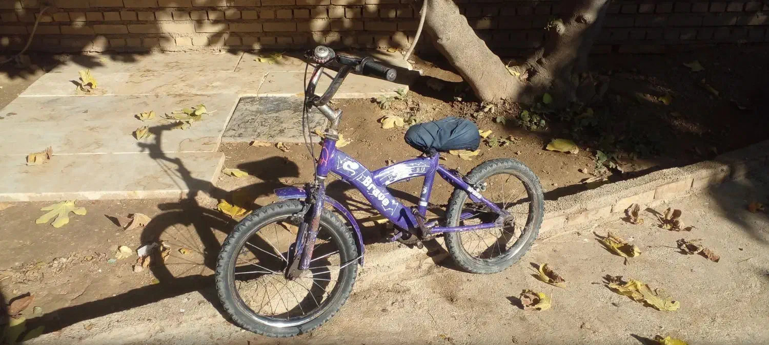 دوچرخه ۱۶|دوچرخه، اسکیت، اسکوتر|گنبد کاووس, |دیوار